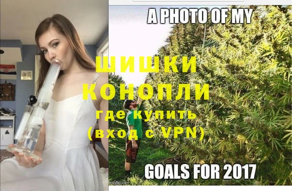 spice Богородицк