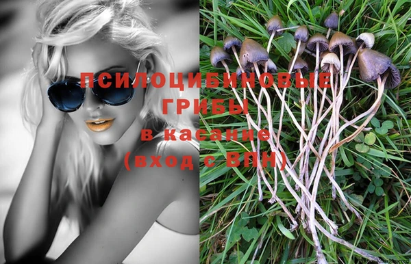 дурь Слюдянка