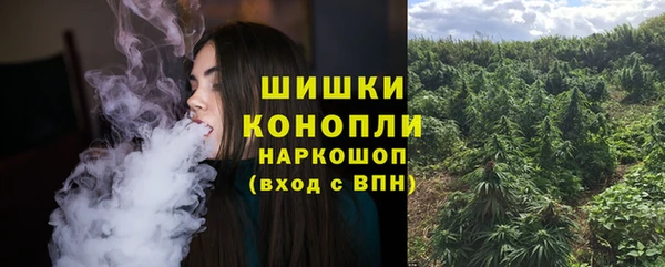 spice Богородицк