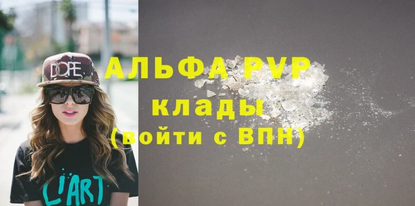 spice Богородицк