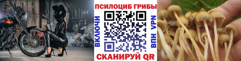 Псилоцибиновые грибы мухоморы Ворсма